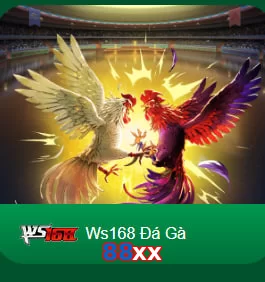 88xx